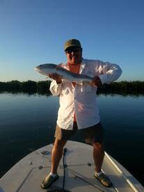 the reds are chewing!!