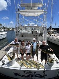 Mahi mania