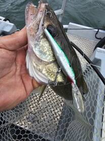 Lakeside Marblehead Report Photo 2