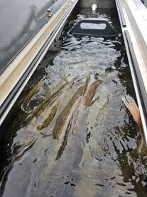 Lakeside Marblehead Report Photo 1