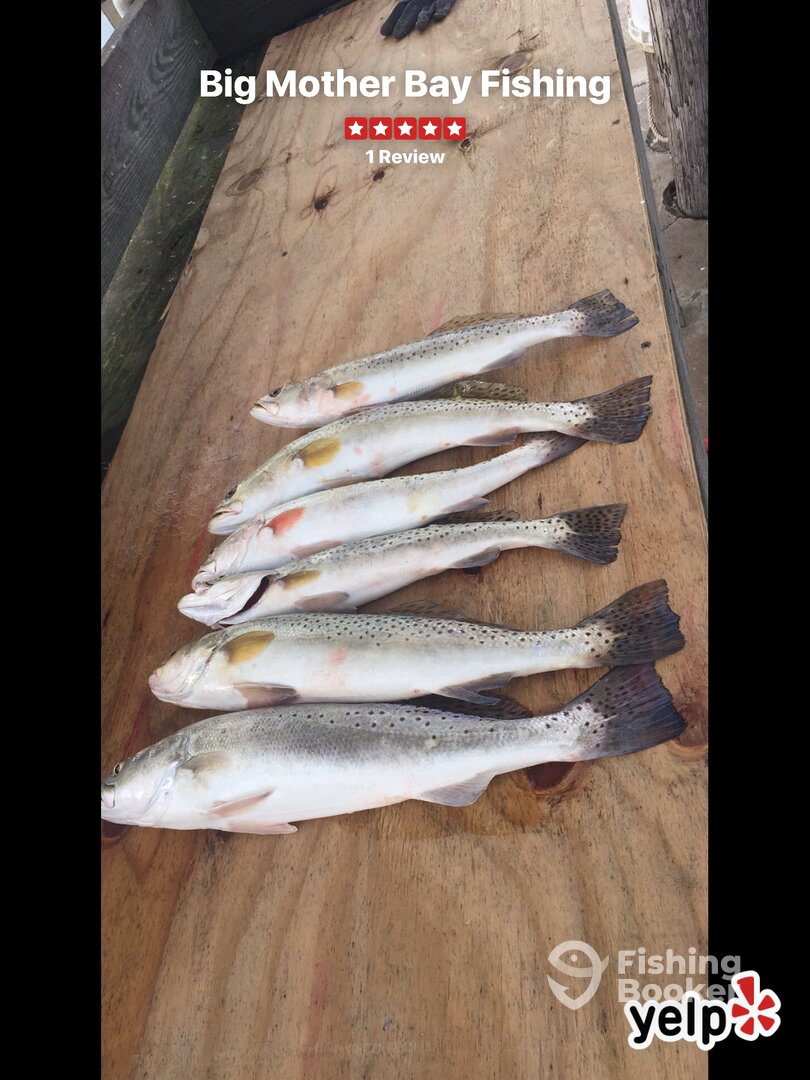 A great day of fishing