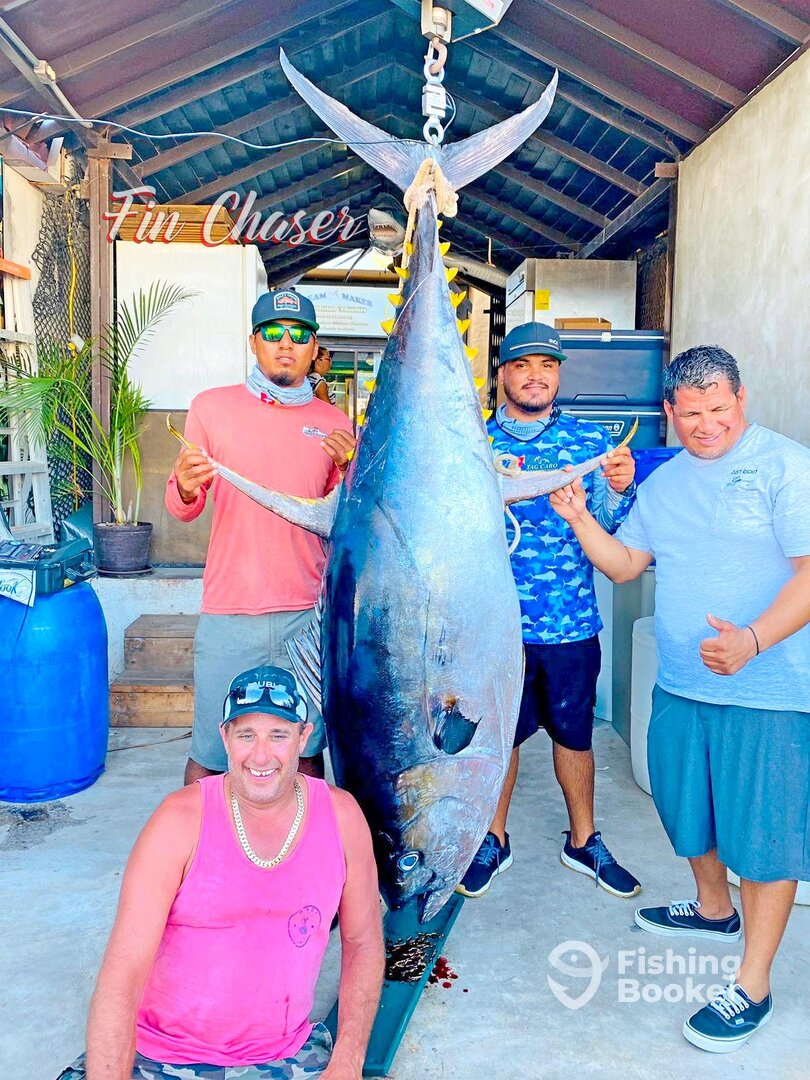 Cabo San Lucas Report Photo 0