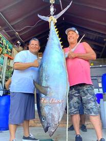 Cabo San Lucas Report Photo 1