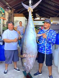 Cabo San Lucas Report Photo 2