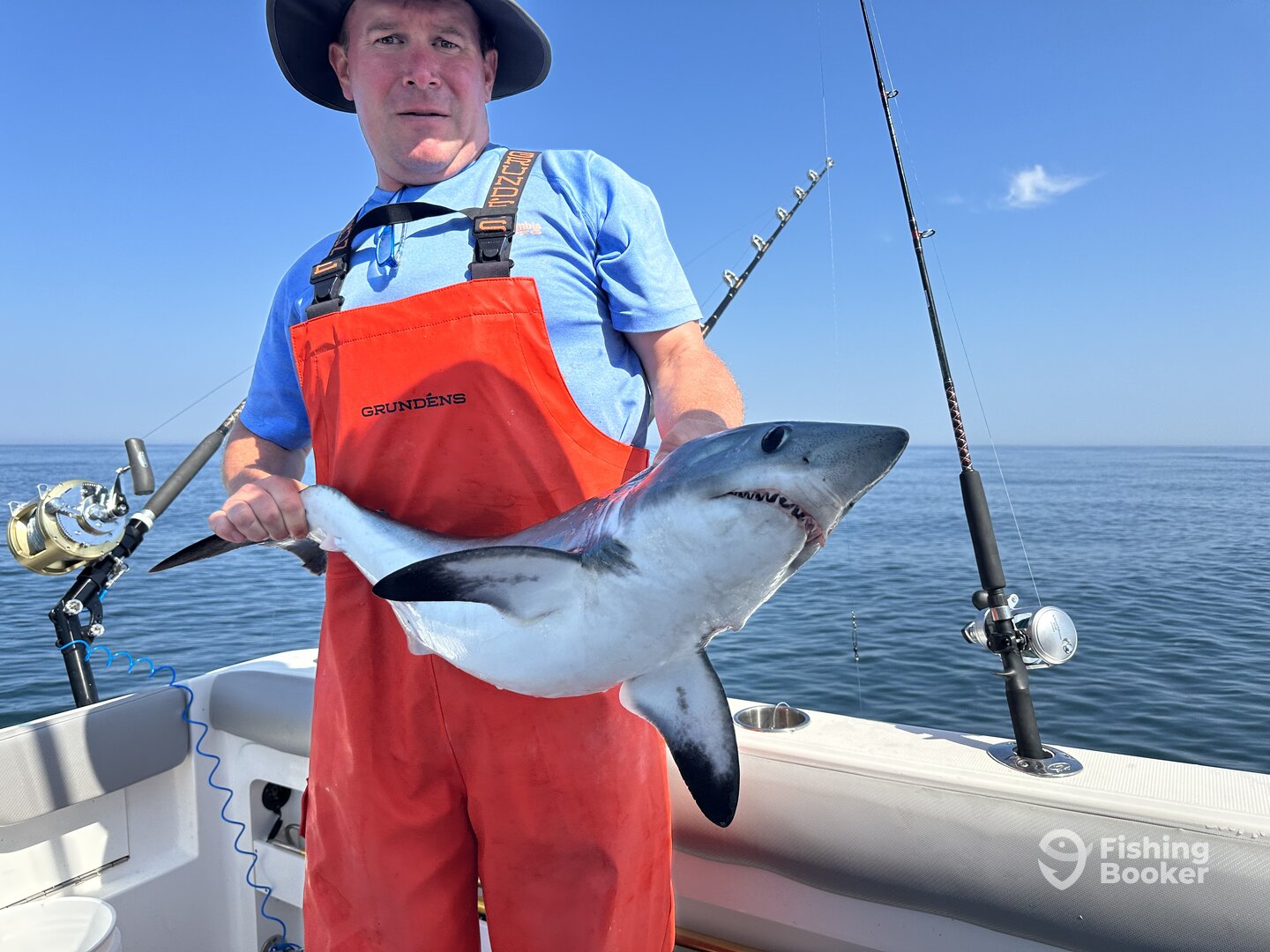 released mako