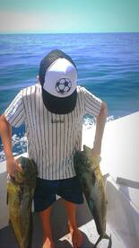 San Jose del Cabo Report Photo 1