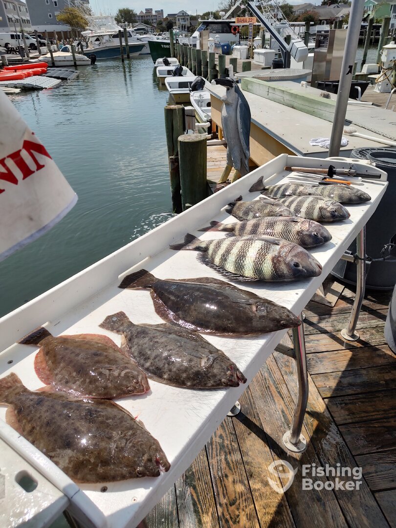 Ocean City Report Photo 0