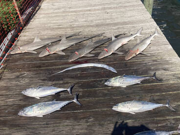 Nags Head Report Photo 2