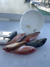 Port Orange Report Photo 1