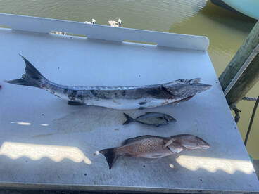 Bottom fishing if hot!