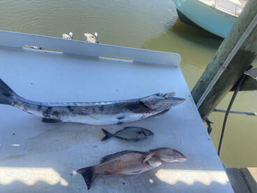 Port Orange Report Photo 2