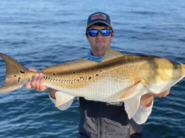 Hilton Head Island Report Photo 1