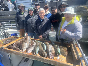 San Francisco Report Photo 2