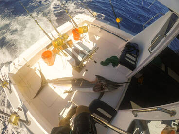 Le Morne Report Photo 2
