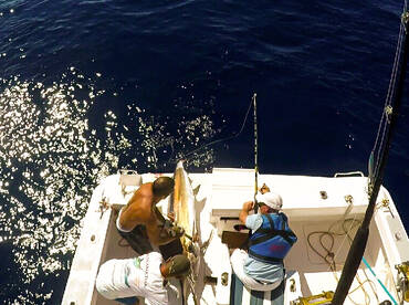 Le Morne Report Photo 1