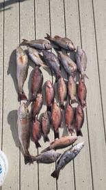 Great meat trip