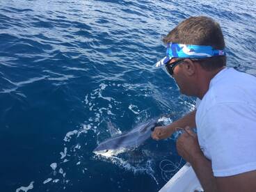 Shark Fishing is Hot in Fort Lauderdale