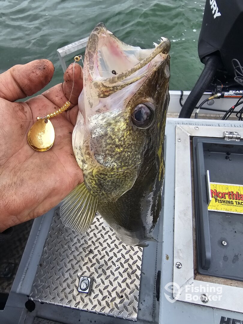 Lakeside Marblehead Report Photo 0