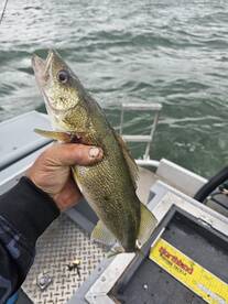 Lakeside Marblehead Report Photo 1