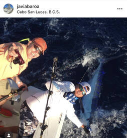 Cabo San Lucas Report Photo 2