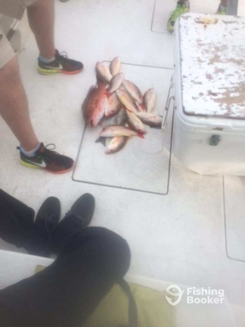 Fort Pierce Report Photo 0