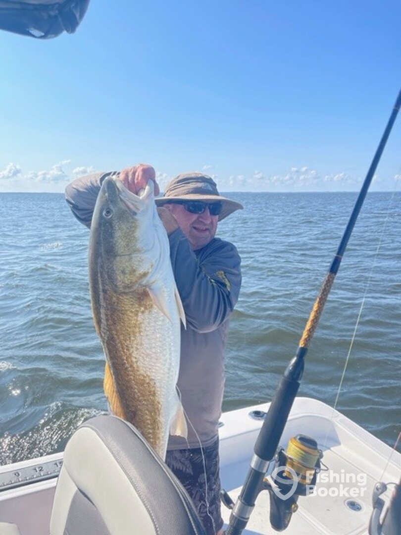 Neuse River Old Drum/ Bu