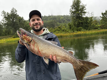 Traverse City Report Photo 2