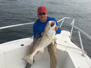 Bull Reds and Snapper. 