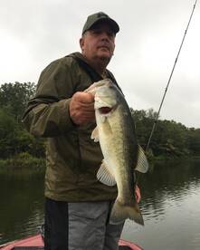 Quitman Report Photo 2
