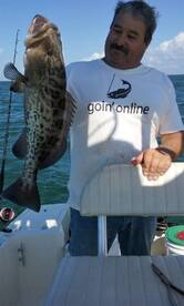 Winter, What winter??