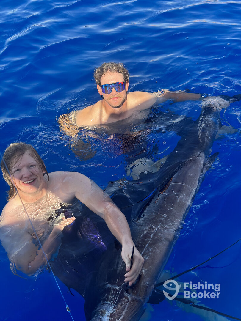 Jordan Report Photo 0