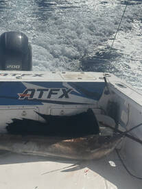 Jordan Report Photo 3