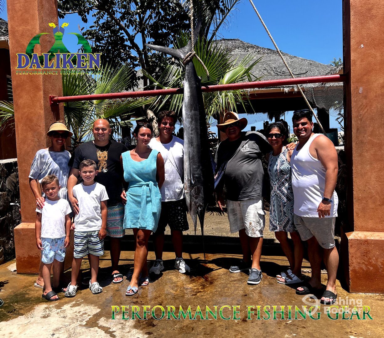 San Jose del Cabo Report Photo 0