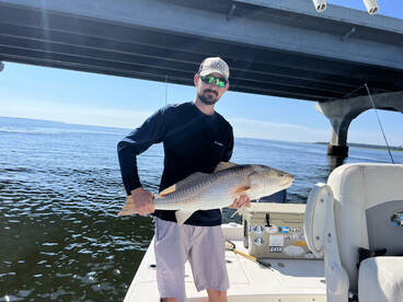 Hilton Head Island Report Photo 2