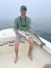 Albies and bass surface feeds