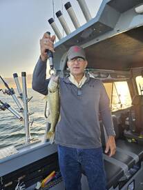 Night crawling tankers