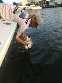 Fort Lauderdale Report Photo 1