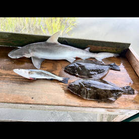 Fernandina Beach Report Photo 1