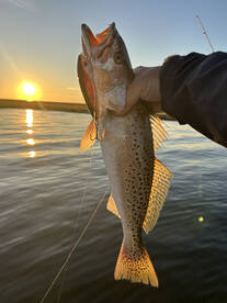Beaufort Report Photo 2
