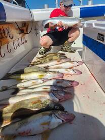 Walleye/steelhead 