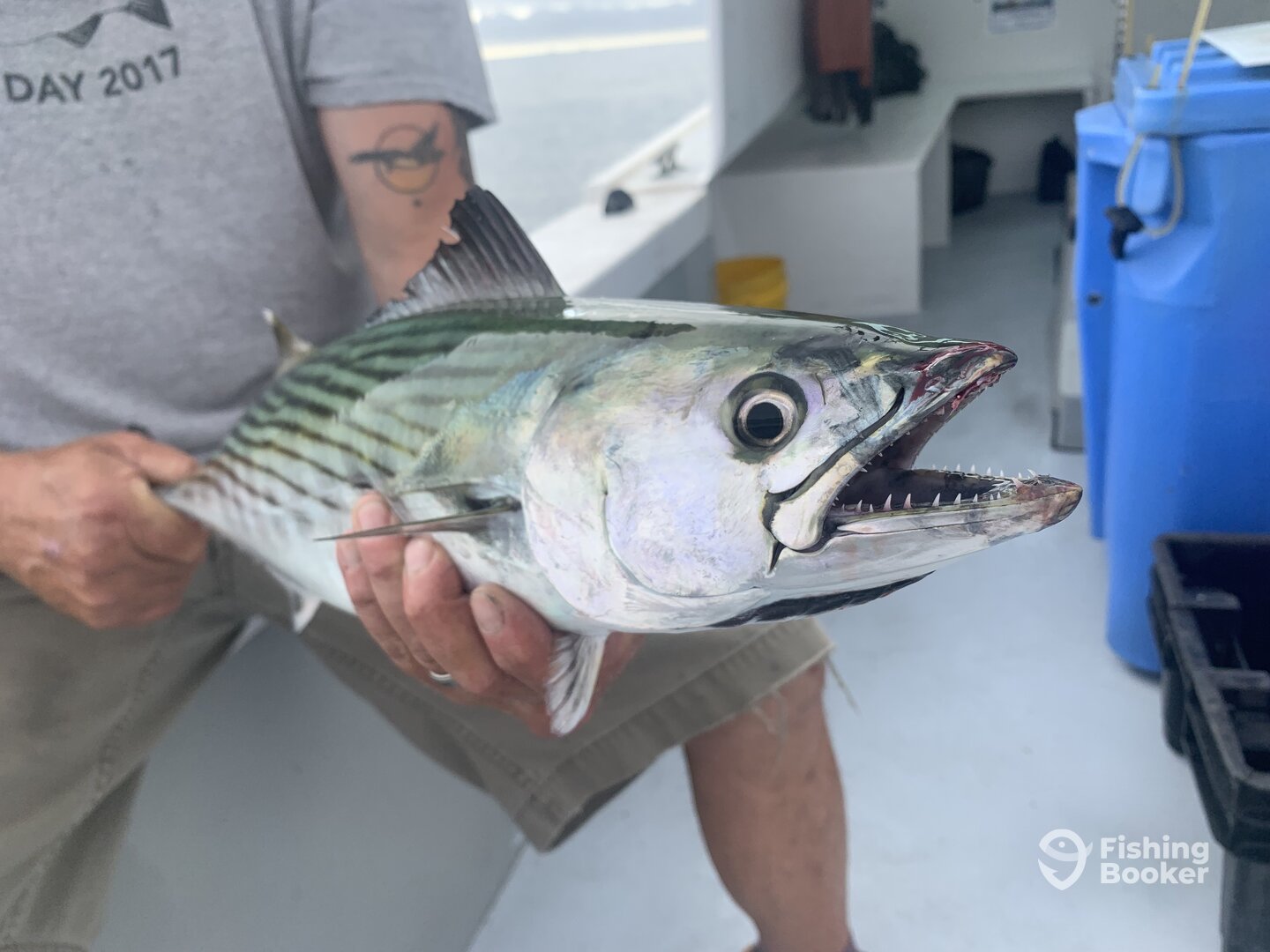 Narragansett Report Photo 0