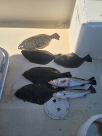 Flounder fishing