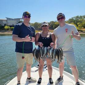 Grapevine Report Photo 2