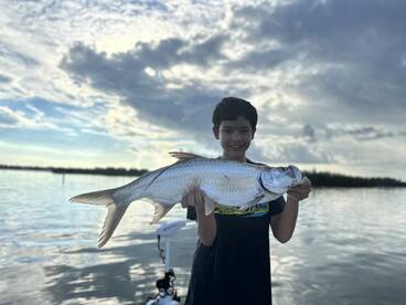 Sarasota Report Photo 1
