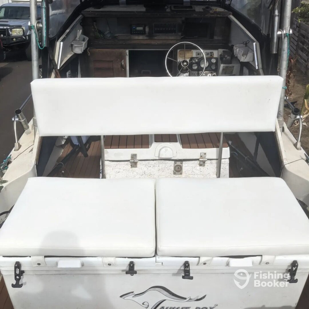 Haleiwa Report Photo 0