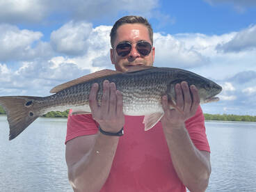 Upper Tampa Bay Redfish NOW!