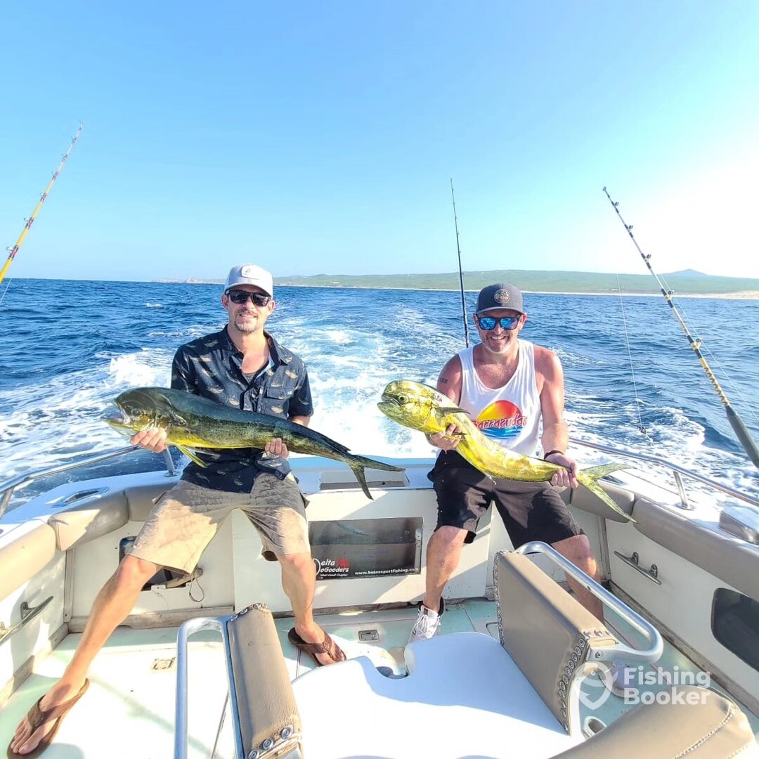 Cabo San Lucas Report Photo 0