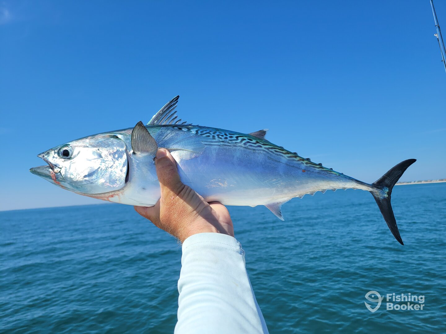 Surf City Report Photo 0