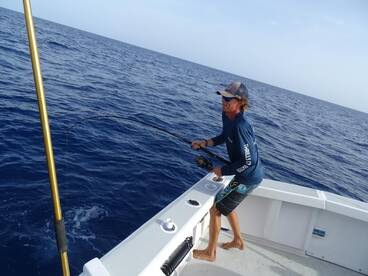 Reeling in the yellows
