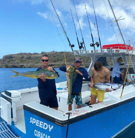 The fish 